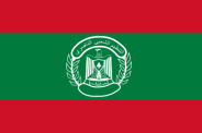Flag_of_the_Popular_Nasserist_Organization.svg.png